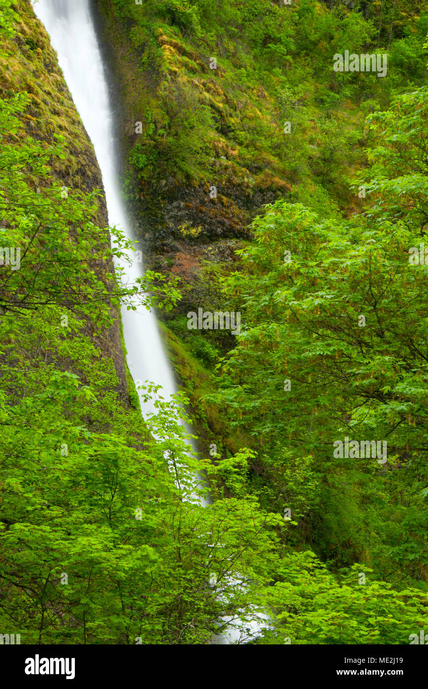 Columiba River Gorge National Scenic Area - James Mead Photography