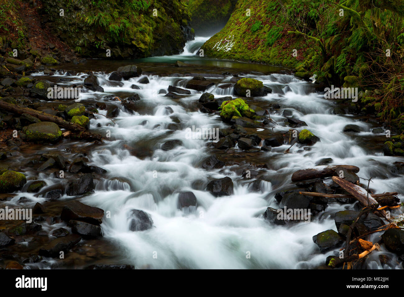 Bridal Veil Creek, Bridal Veil Falls State Park, Columbia River