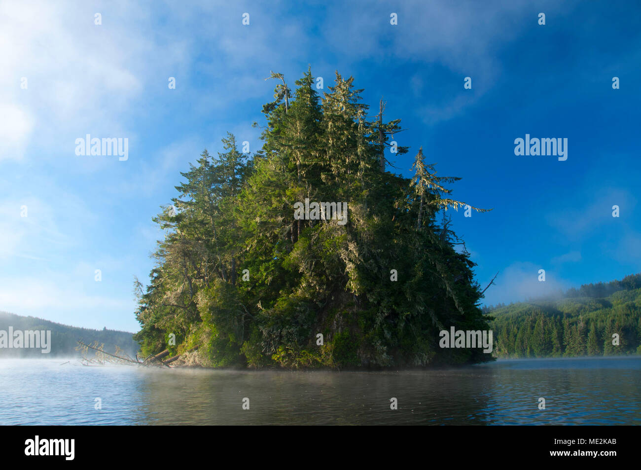 Jewitt Island on Tahkenitch Lake, Oregon Dunes National Recreation Area, Oregon Stock Photo