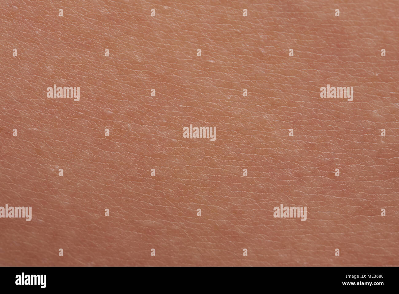 Brown human skin texture background macro close up Stock Photo - Alamy