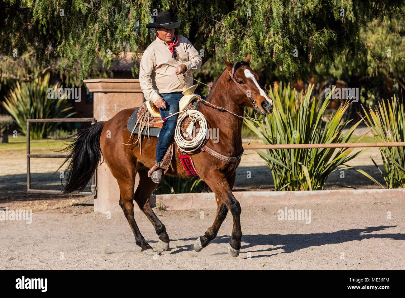 A caballero rides a horse at RANCHO DEL SOL DORADO SAN MIGUEL DE