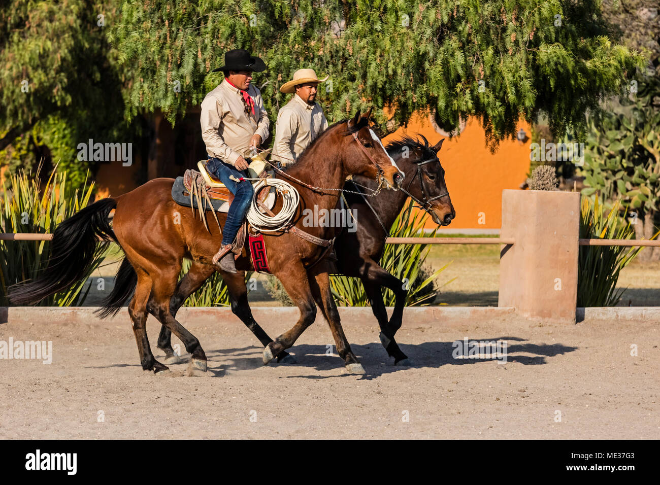 A caballeros ride horses at RANCHO DEL SOL DORADO SAN MIGUEL DE