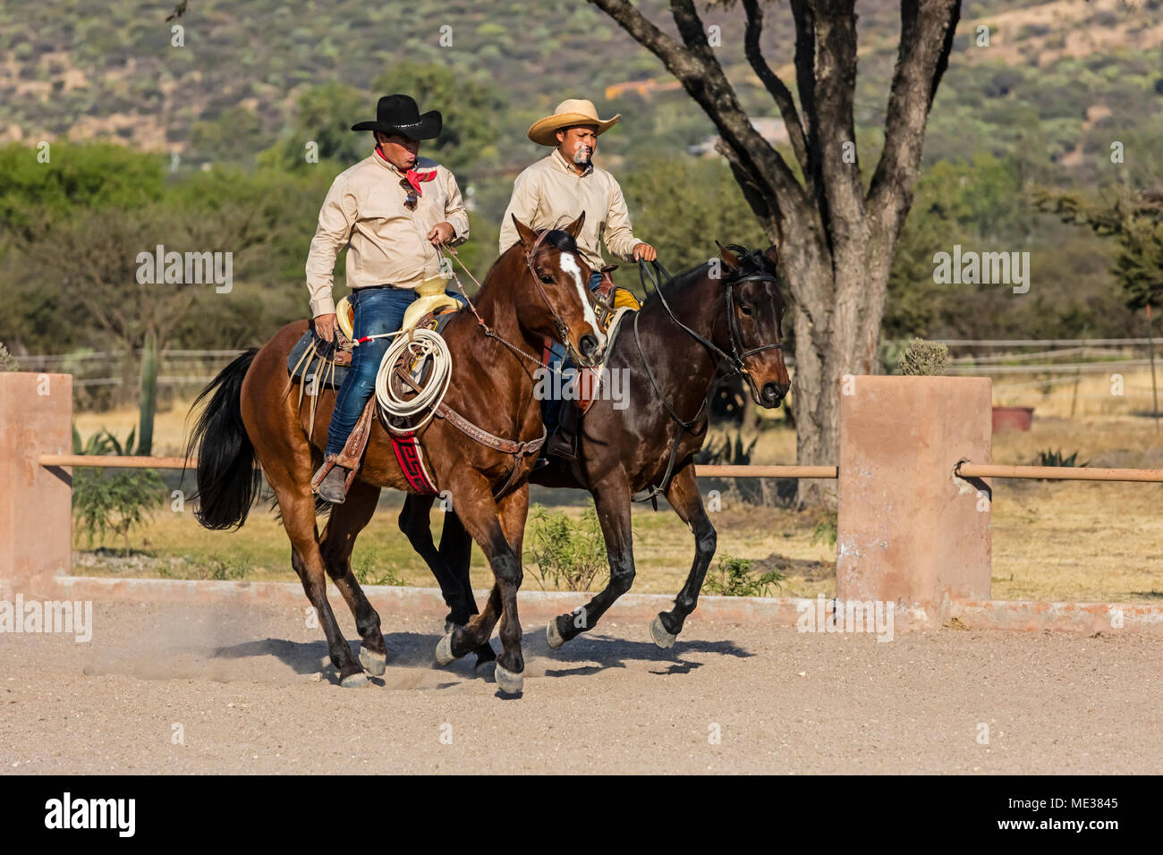 A caballeros ride horses at RANCHO DEL SOL DORADO SAN MIGUEL DE