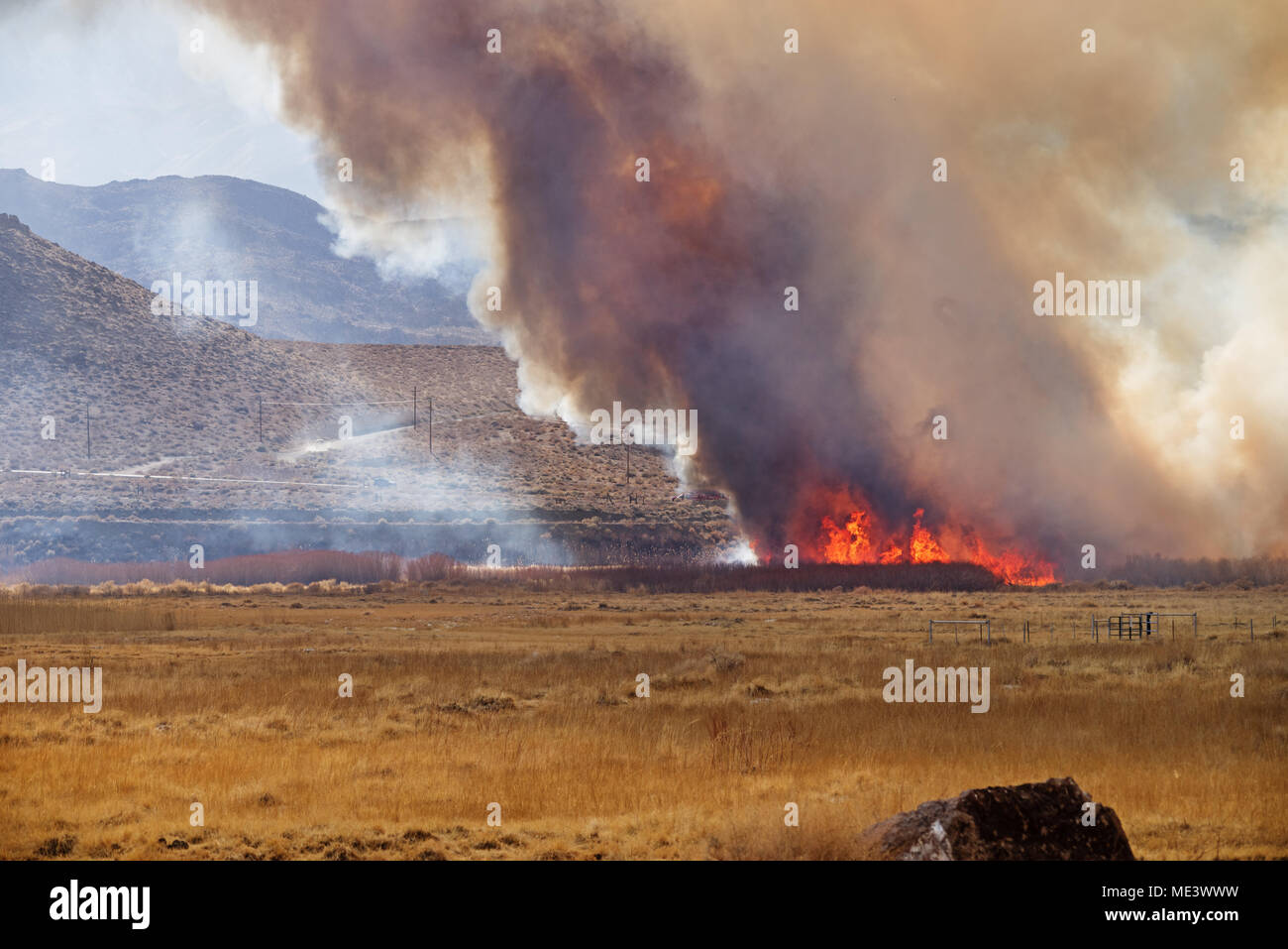 wildfire in the Owens Valley near Pleasant Valley Campground Stock Photo