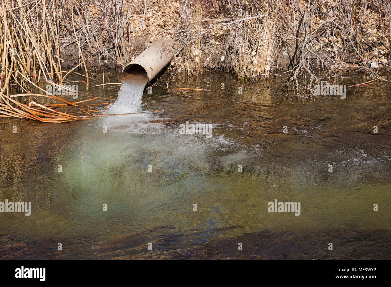 groundwater water flows from a pipe into the North Fork of Bishop Creek Stock Photo