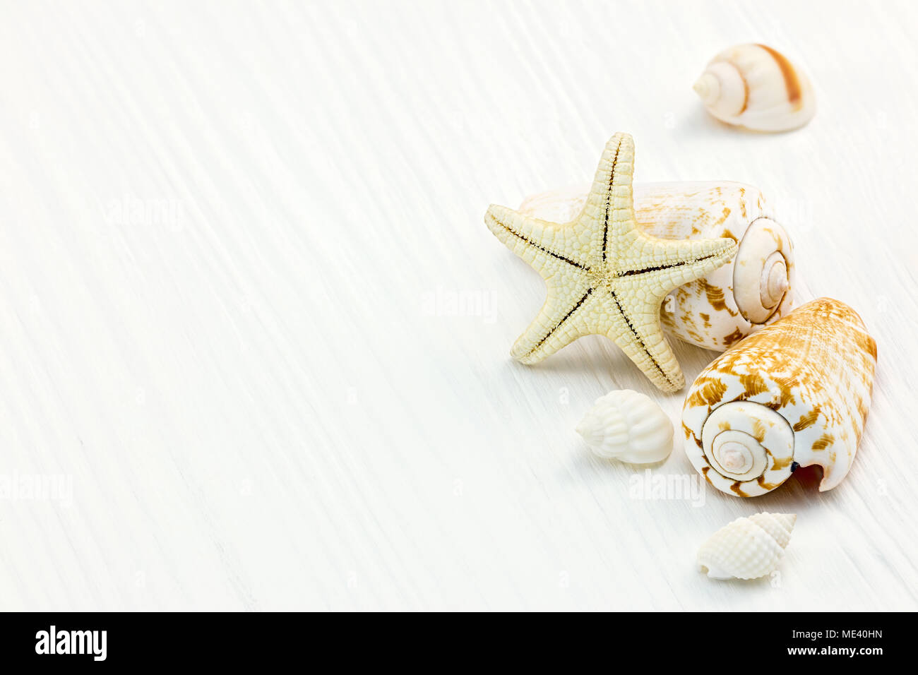 starfish and seashells on white wooden boards. summer sea background ...