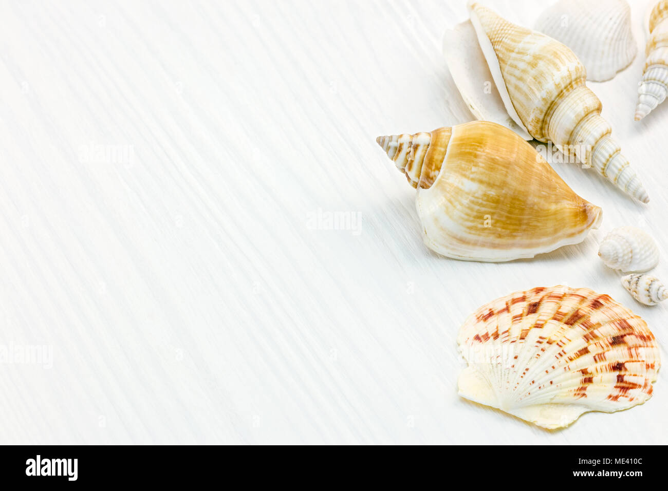summer background on wooden surface. decorative seashells macro view Stock Photo