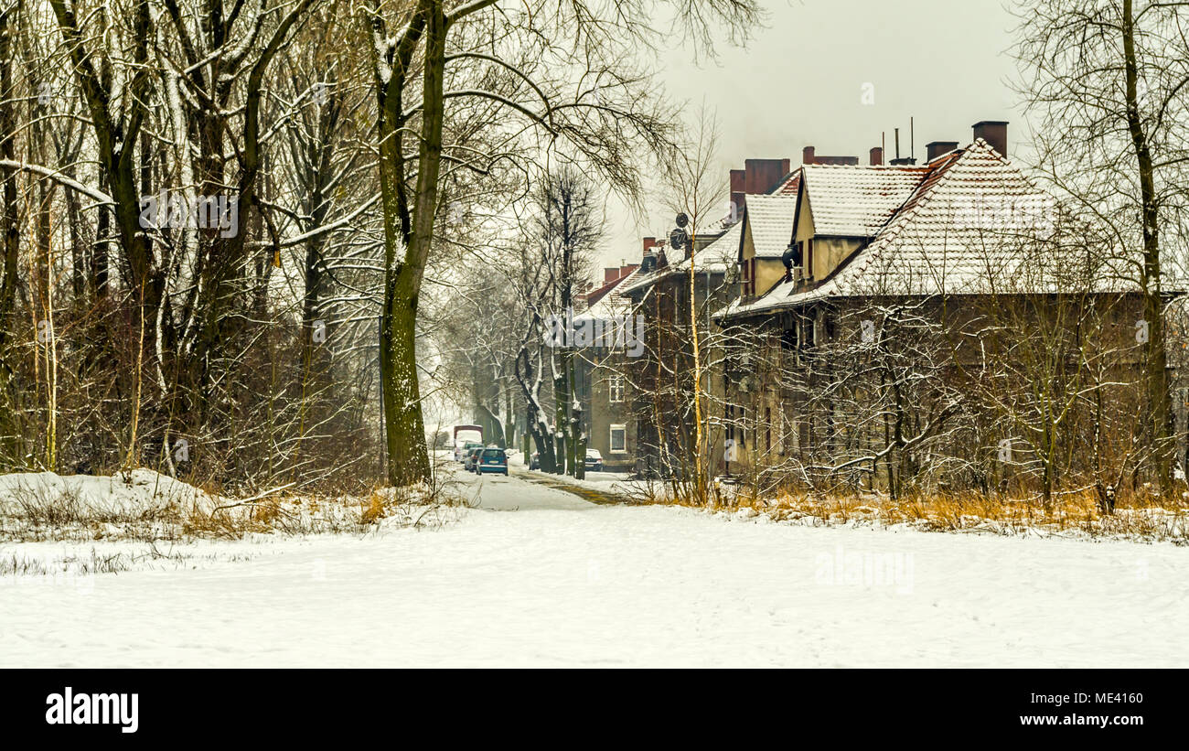 Old tenements houses, trees and road in winter, snowy scenery in Zabrze, Silesian Upland, Poland Stock Photo