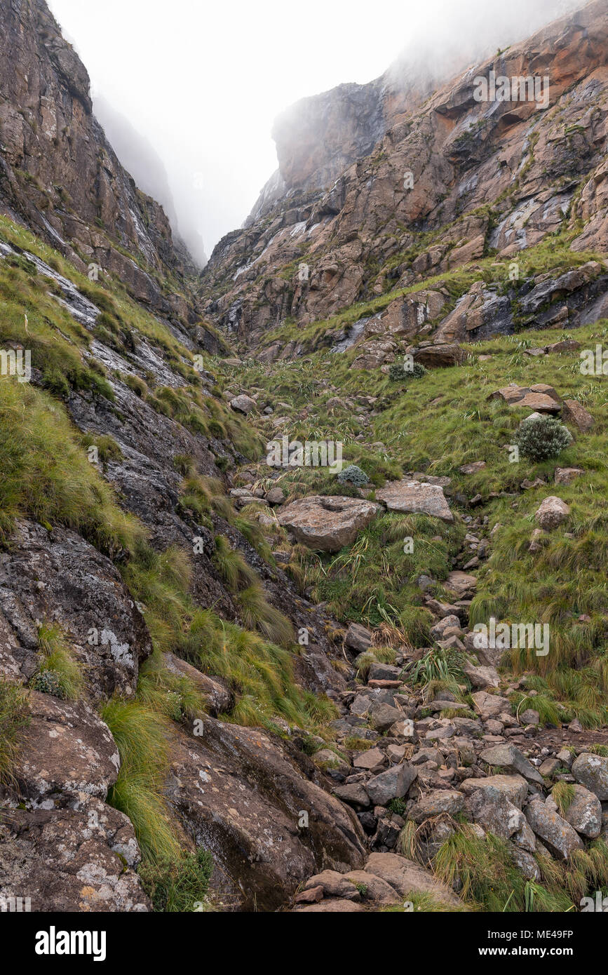 Tugela Falls Chain Ladder
