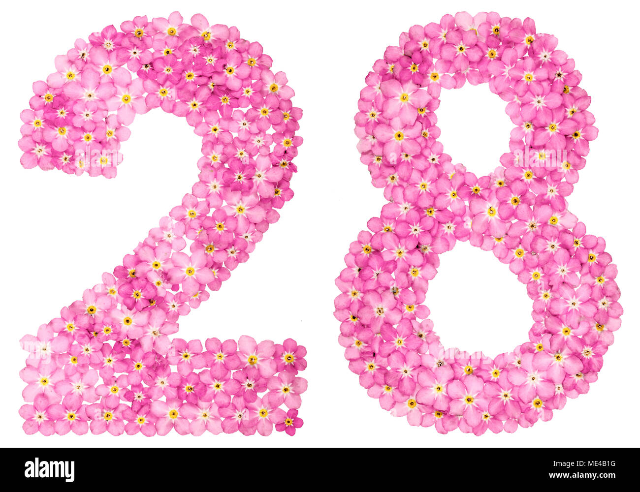 Arabic numeral 28, twenty eight, from pink forget-me-not flowers