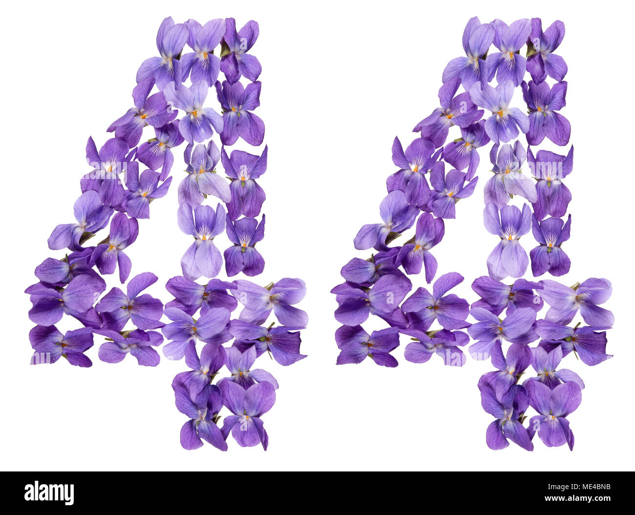 Arabic numeral 44, forty four, from flowers of viola, isolated on white ...