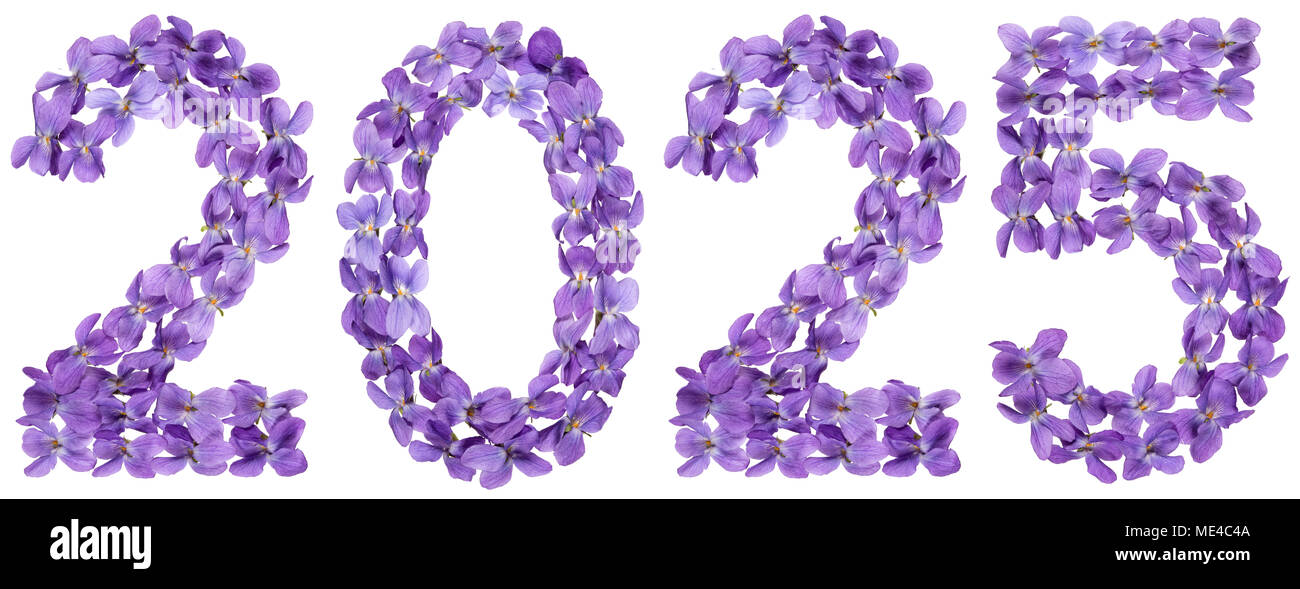 Numeral 2025 From Flowers Of Viola Isolated On White Background Stock Numeral 2025 From Flowers Of Viola Isolated On White Background ME4C4A