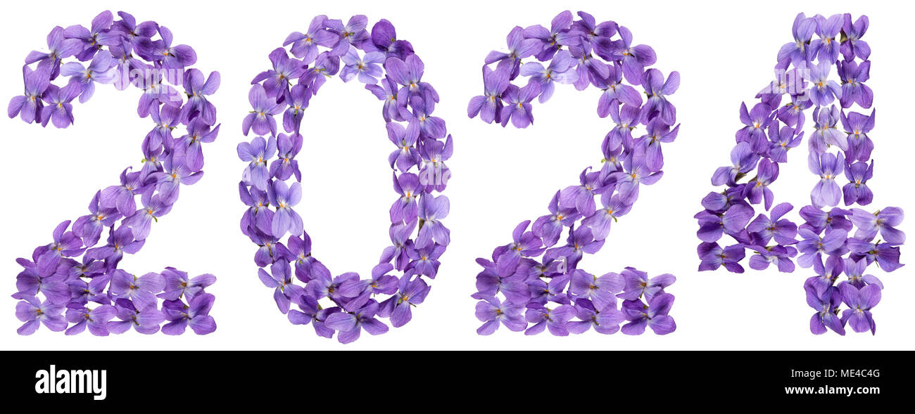 Numeral 2025 from flowers of viola, isolated on white background Stock