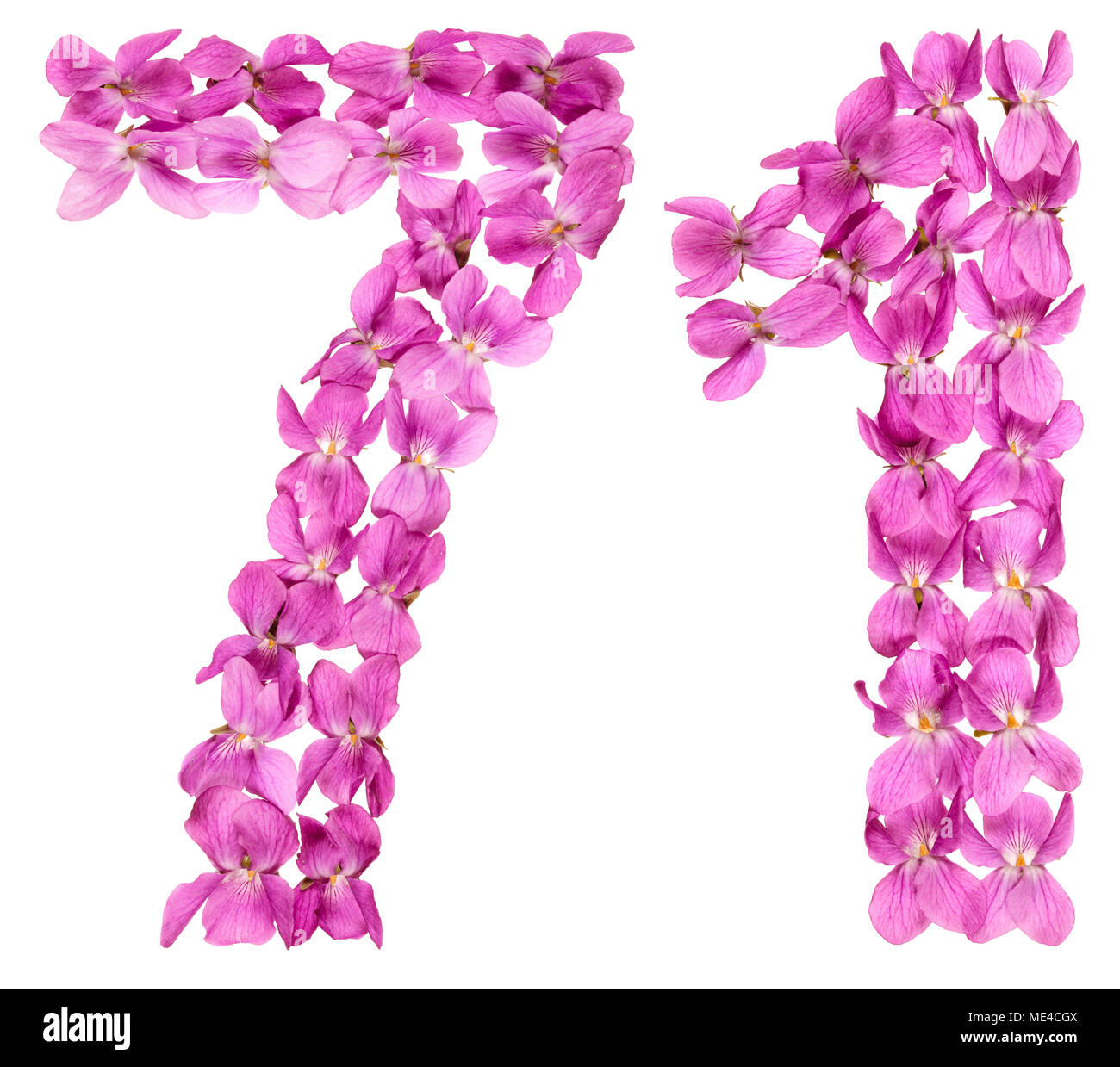 Arabic numeral 71, seventy one, from flowers of viola, isolated on ...