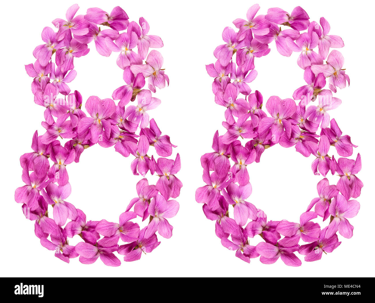 Arabic numeral 88, eighty eight, from flowers of viola, isolated on ...