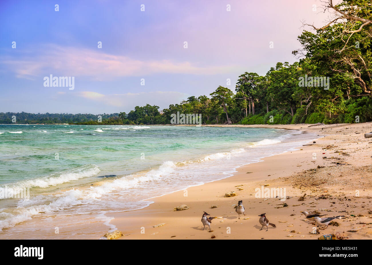 Scenic Neil Island sea beach Andaman India at sunset with tropical birds Stock Photo