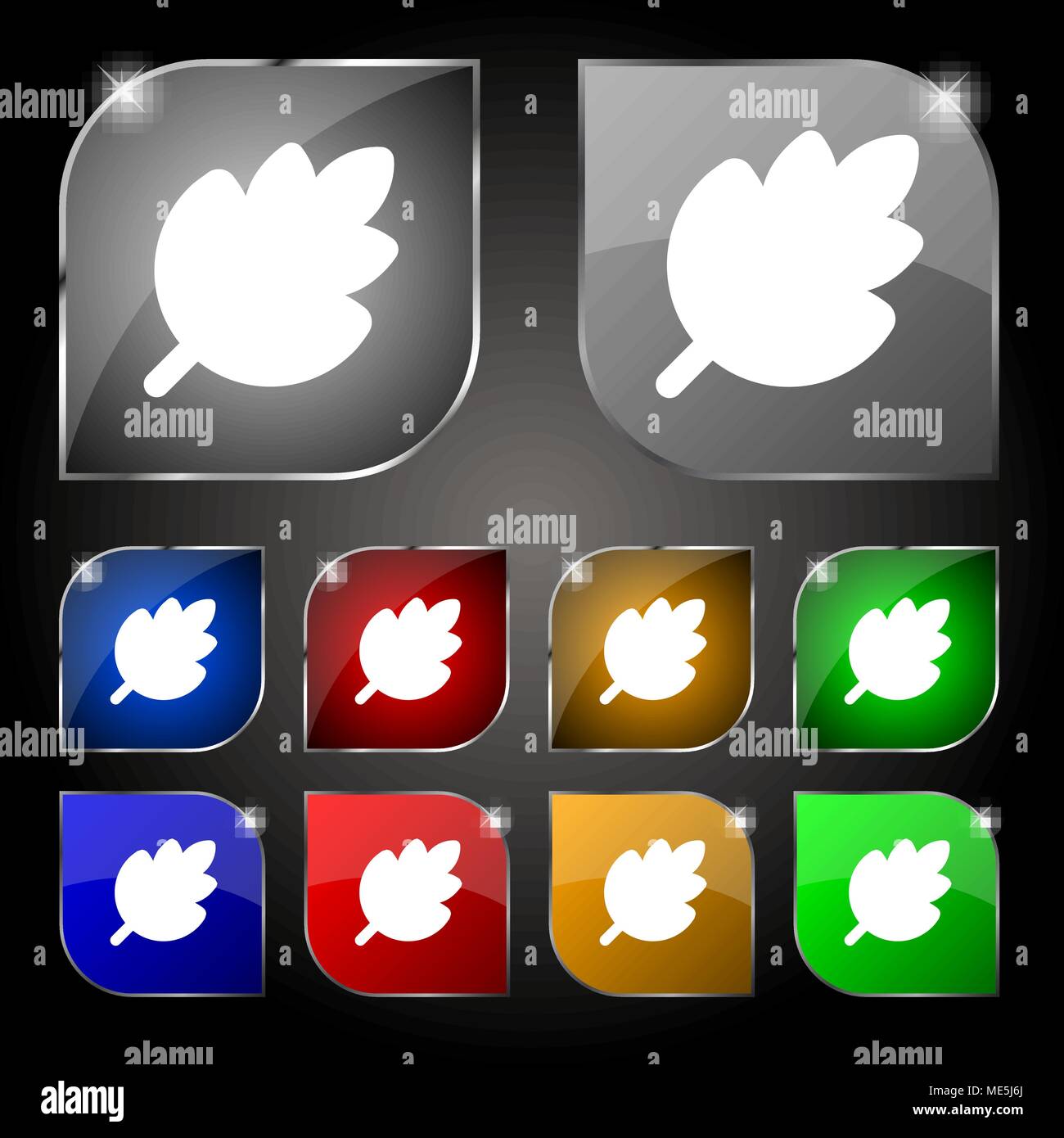 Leaf, Fresh natural product icon sign. Set of ten colorful buttons with ...