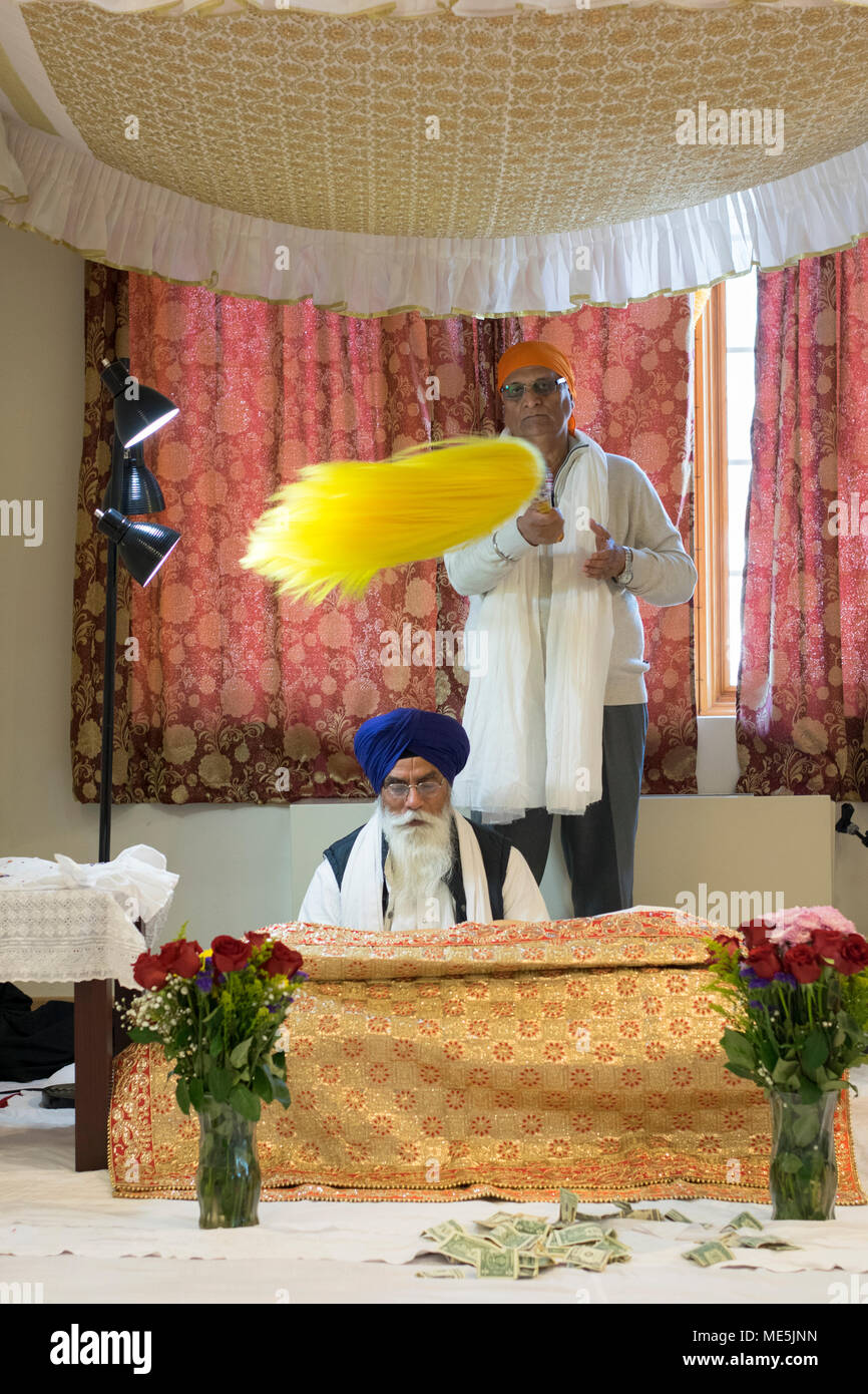 A Sikh priest, a Granthi, reading Sri Guru Granth Sahib, which is ...