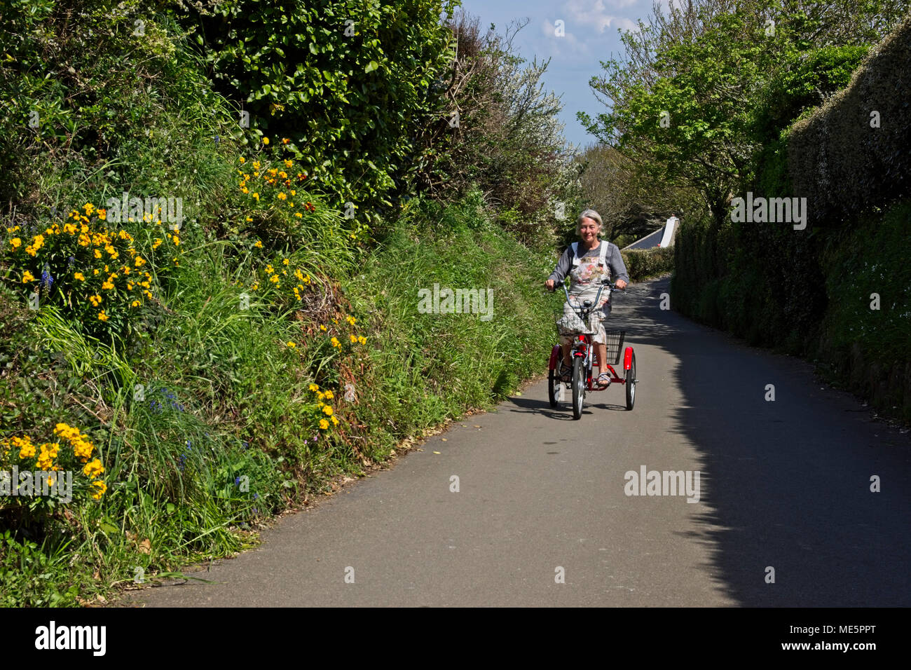 red battery assisted tricycle 