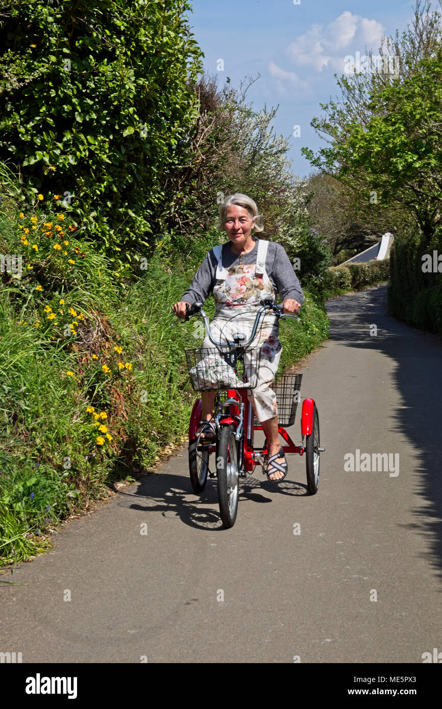 battery assisted tricycle