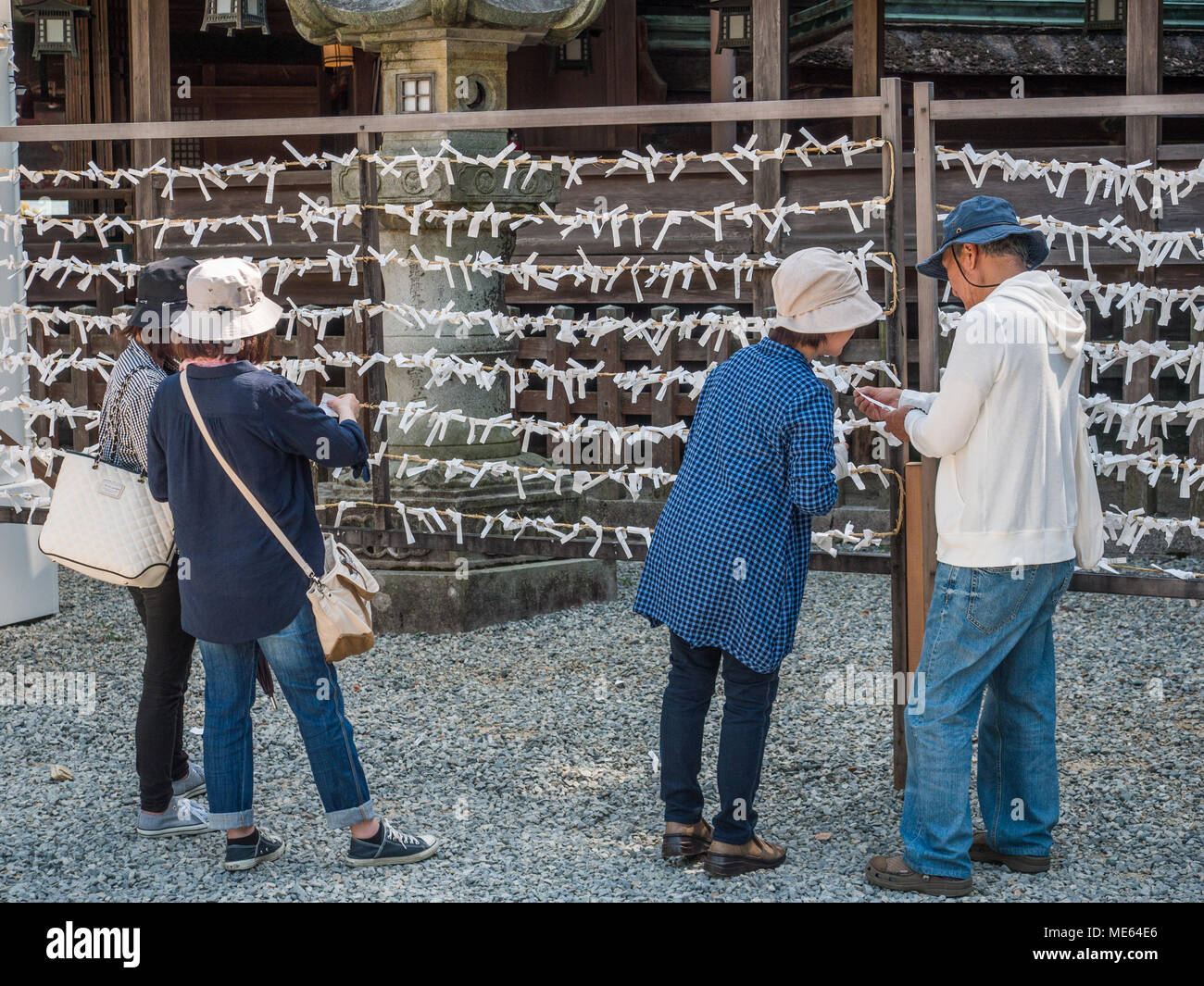 Reading omikuji, fortune telling paper strips, Konpirasan Shrine