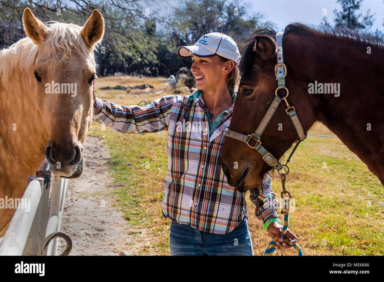 Katcha with LUSITANO horses at the Granja Las Animas Ranch - San MIguel de Allende Mexico Stock Photo