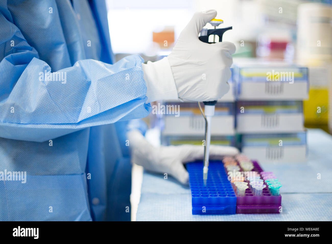 Closeup cropped portrait, scientist pipetting with hands, laboratory