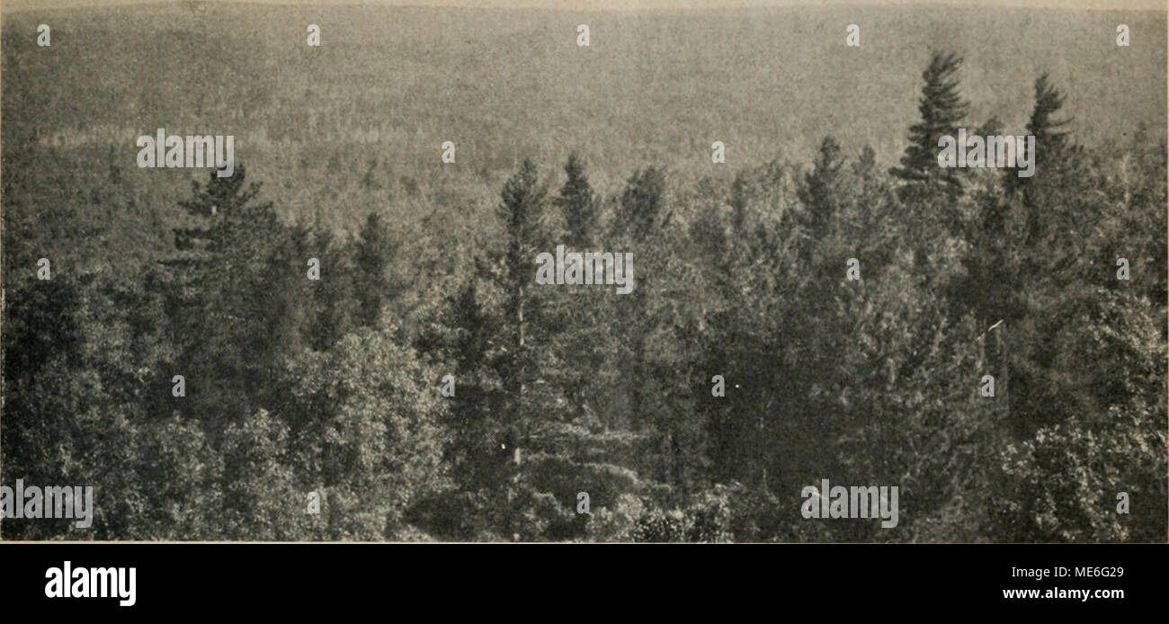 Feuerwachturm High Resolution Stock Photography And Images Alamy