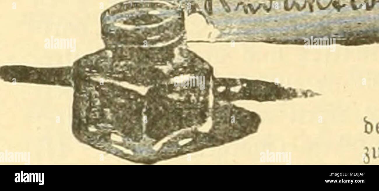 Die Gefiederte Welt Errn 3b 35 33errin 0 3 Ben 3 A Geln Gereid Te I Uiler Ift A U Eiioeifibnltig 3 Quot Ber 31n Trage Ift Nid T Mitgeteilt Ob Baa Fluttet Iroden Ober Mit Toa Bre