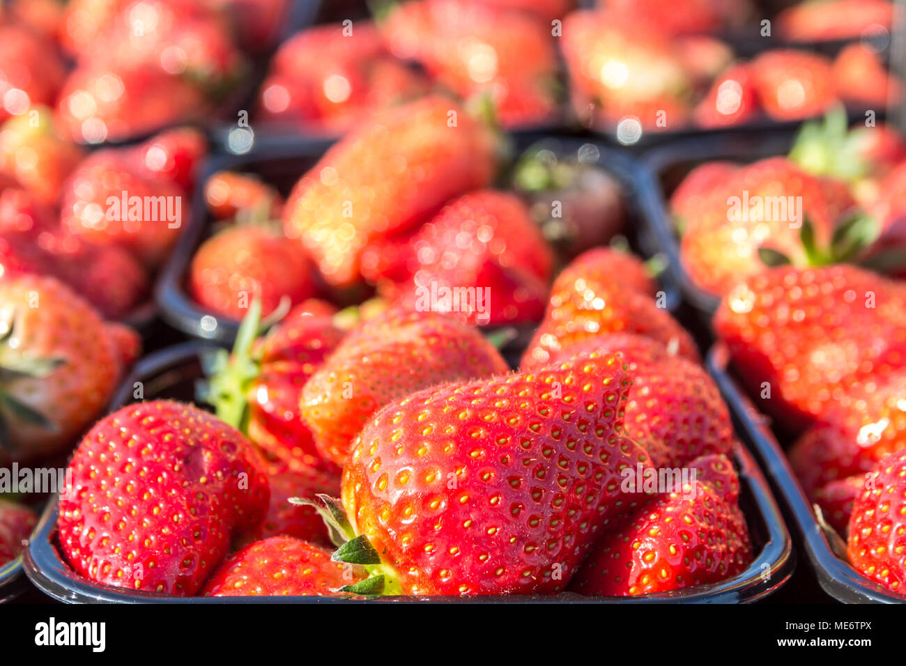 boxes of fresh delicious ripe red strawberries Stock Photo