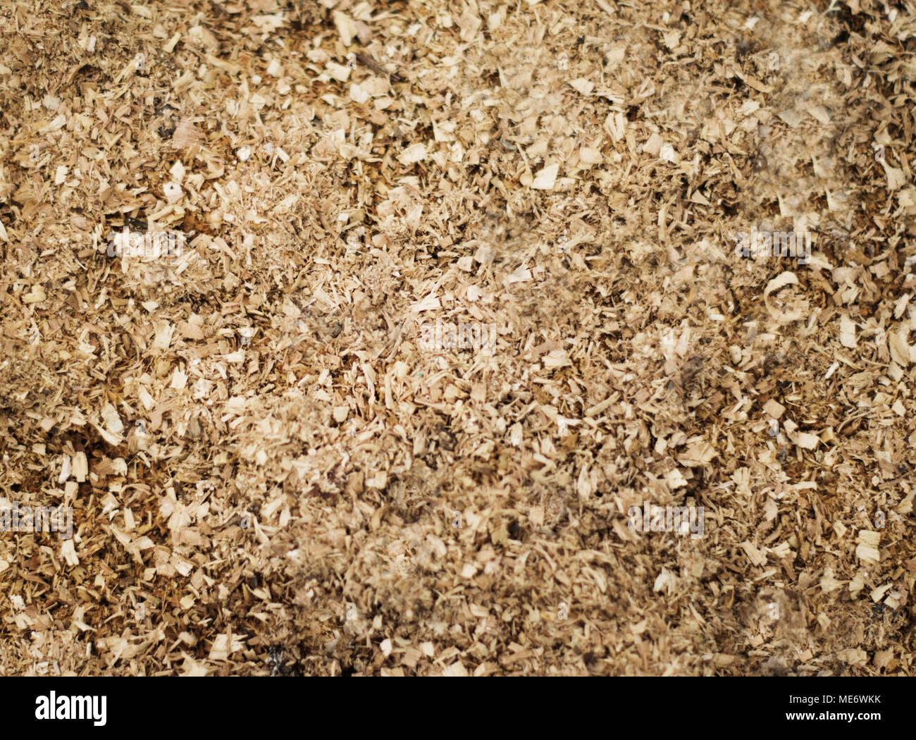 Wood Sawdust Texture Background. For your commercial and editorial use