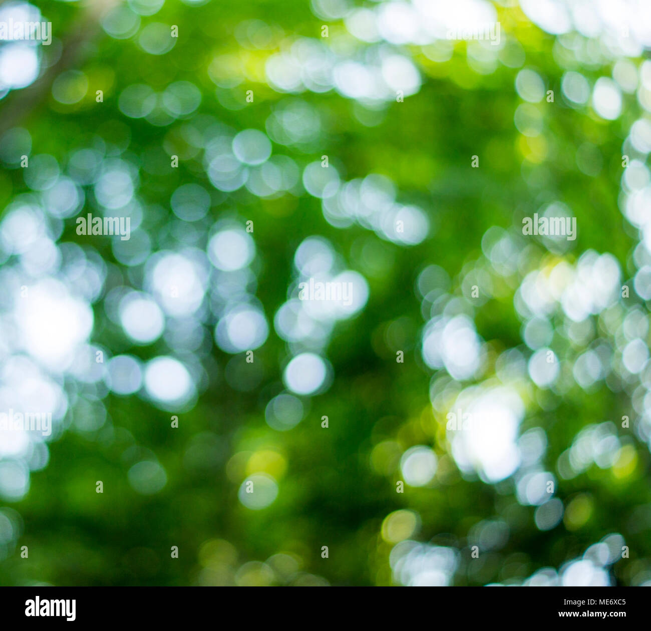 Beautiful Nature  background. For your commercial and  editorial use Stock Photo - Alamy