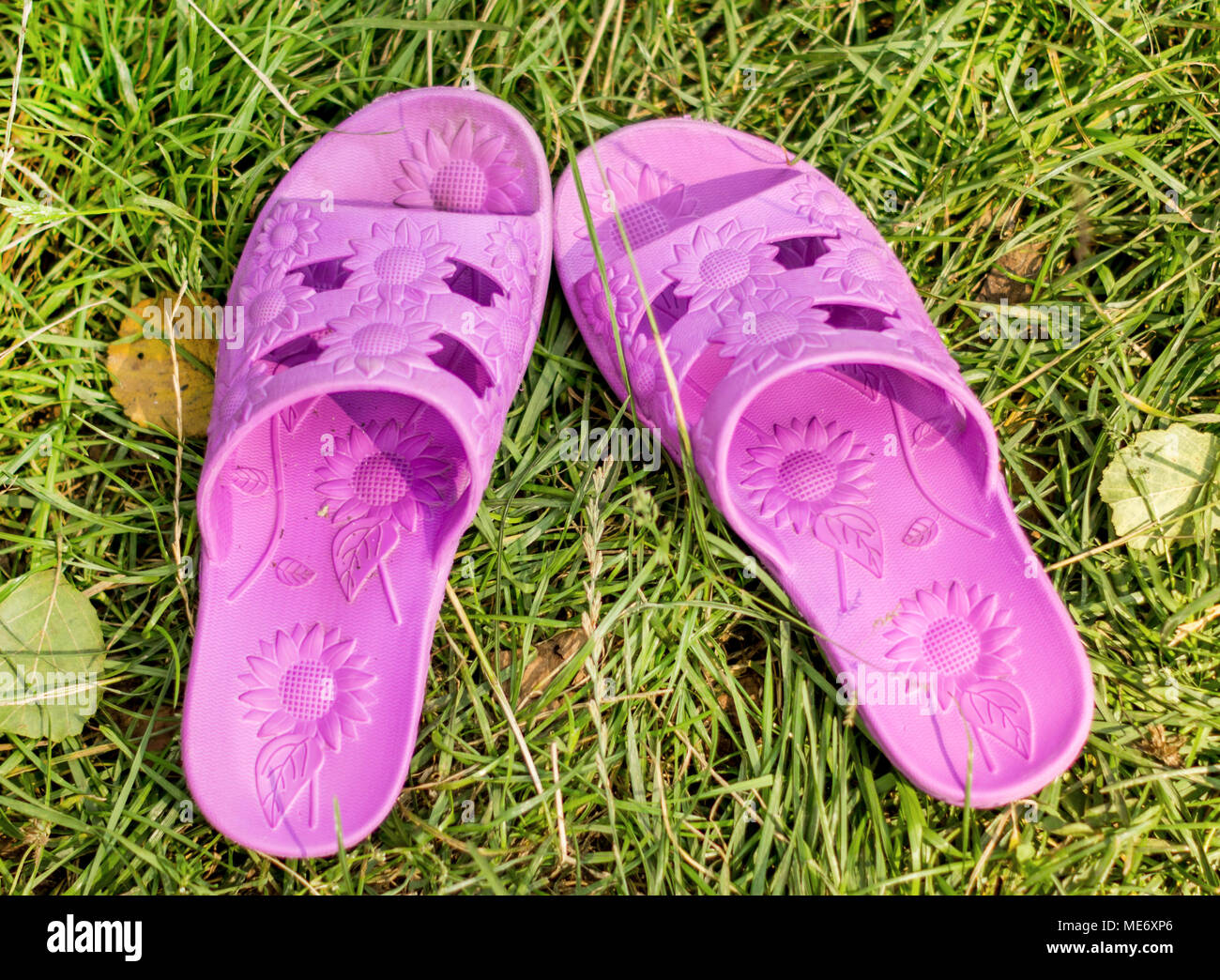 A pair of flip flops are left on field of a relaxed day. For your commercial and editorial use. Stock Photo