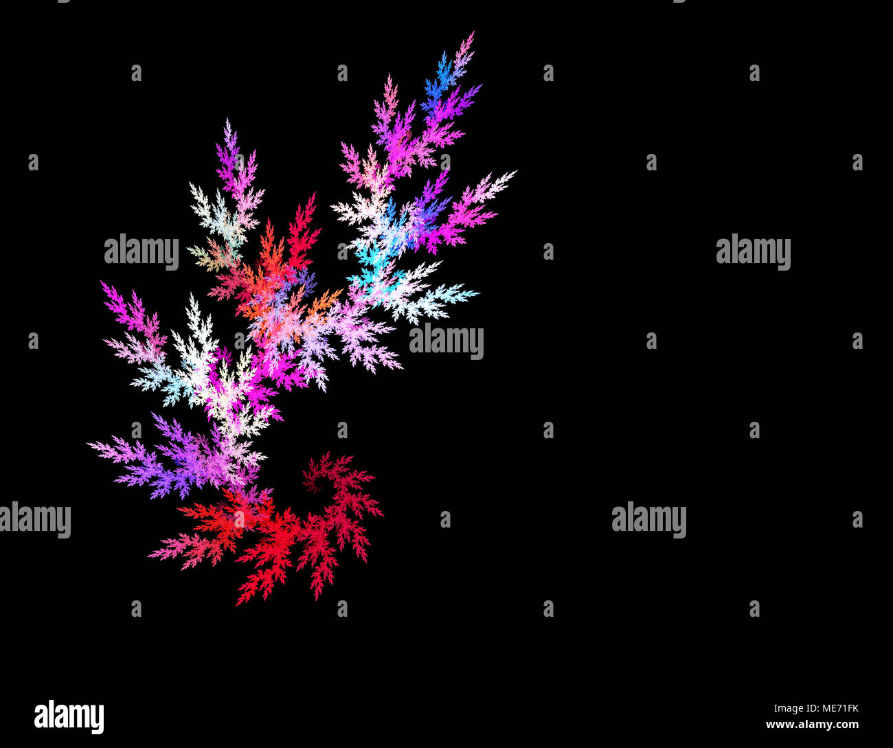 Multicolor fractal flower on black background. Computer generated graphics Stock Photo