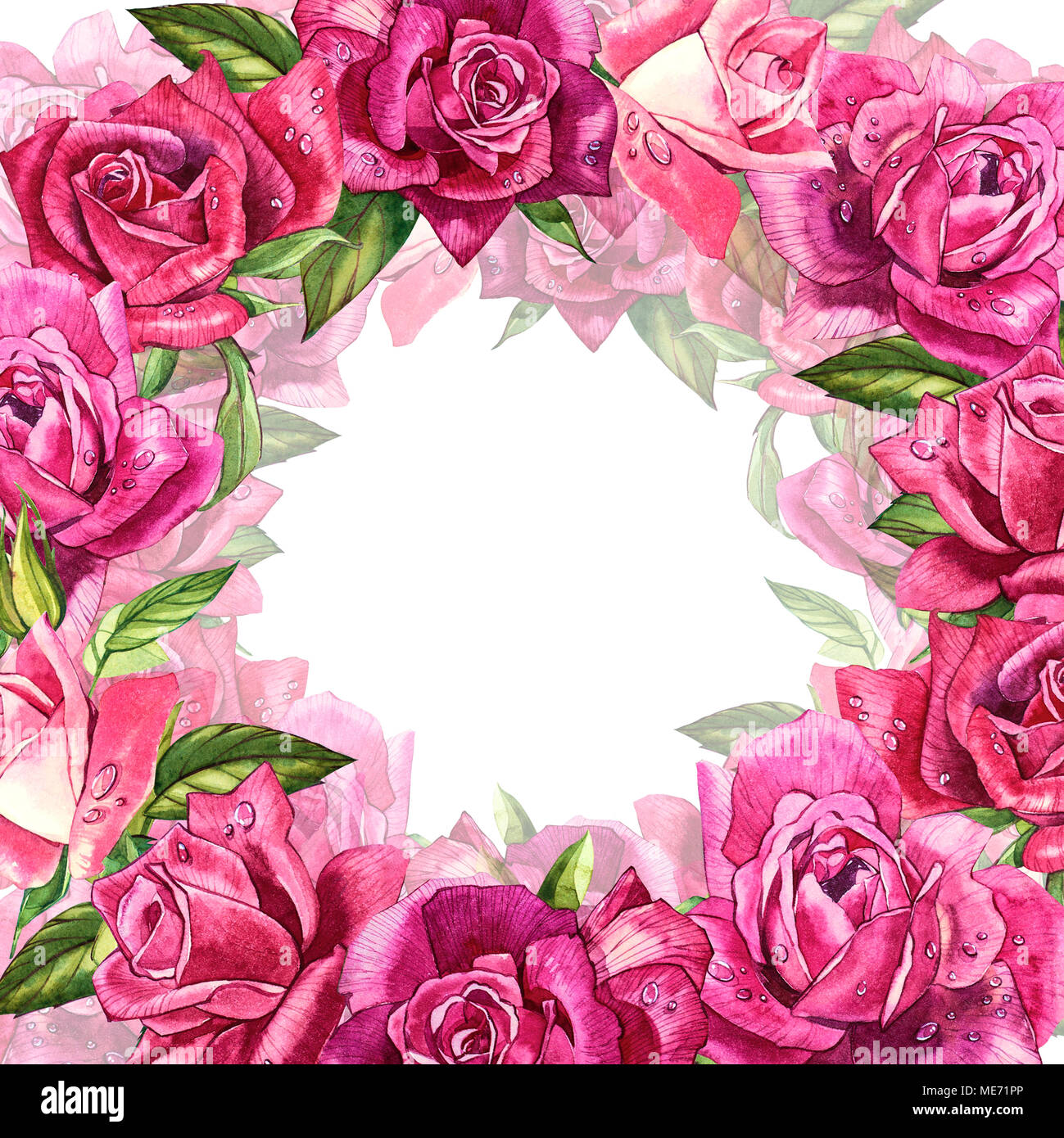 Natural pink roses background. Frame of red and pink roses, watercolor ...