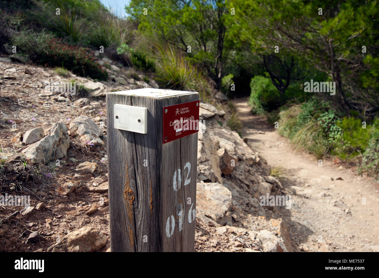 A wooden sign post showing the path behind on the Cami de Cavalls coastal walk on Menorca Spain Stock Photo
