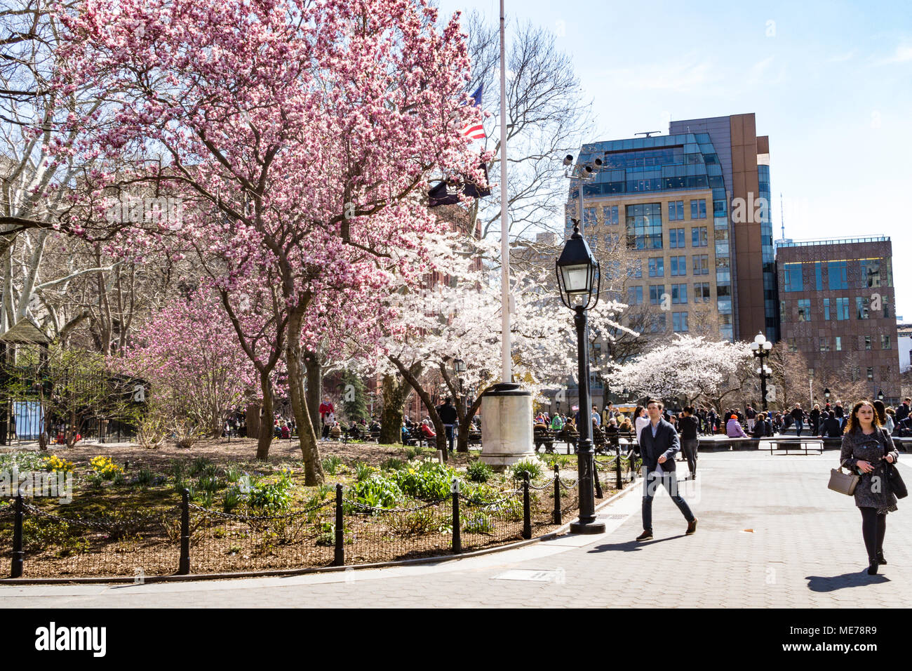 Washington Square Park is the Heart of New York University in Greenwich Village, NYC, USA Stock 