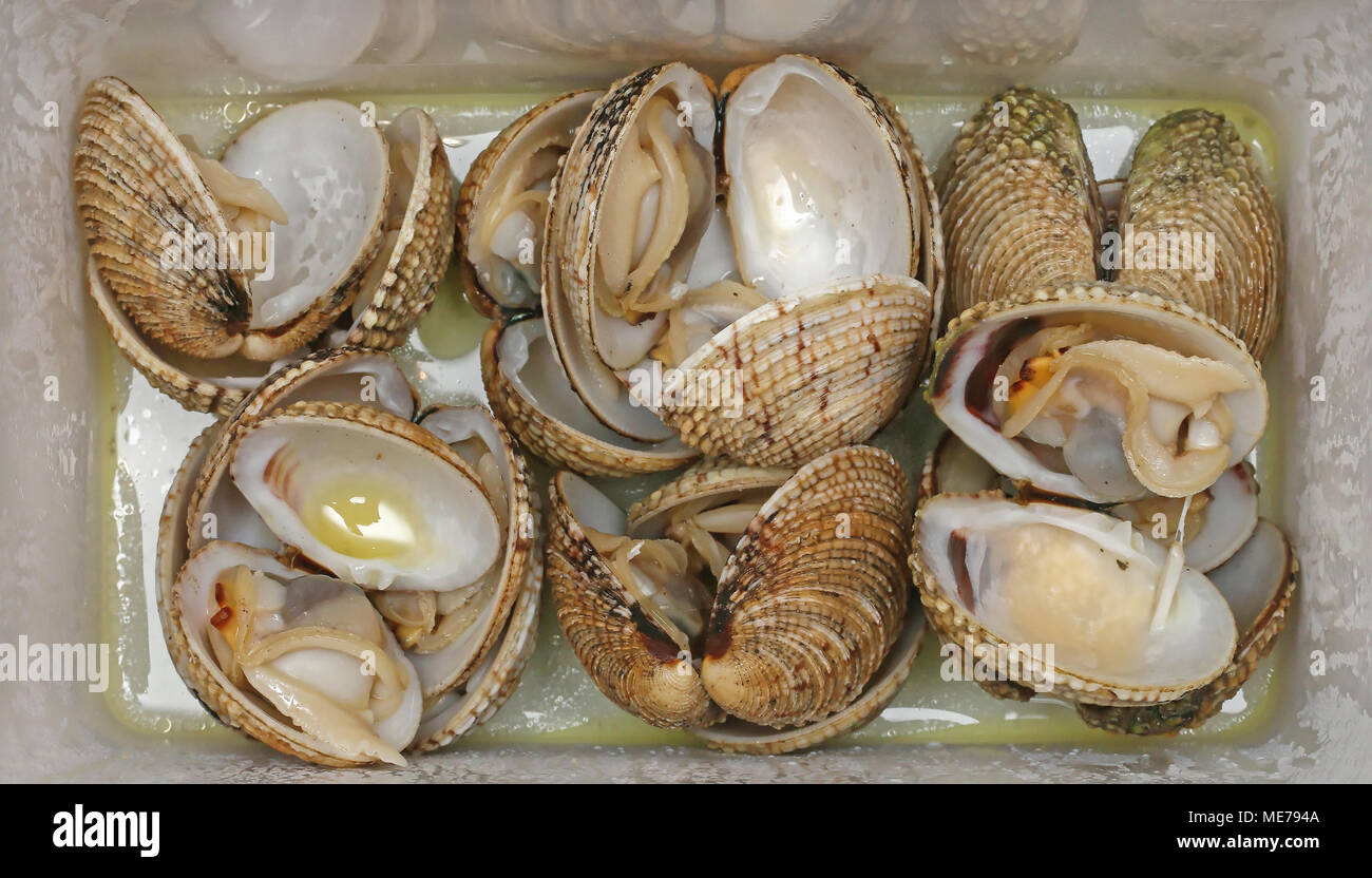 Vongole clams hires stock photography and images Alamy