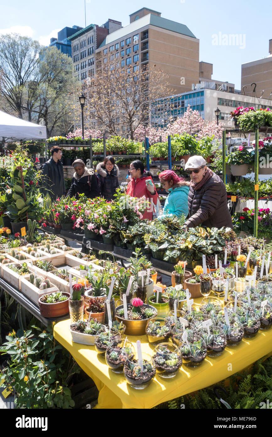 Farmer's Market in Union Square Park, NYC, USA Stock Photo Alamy