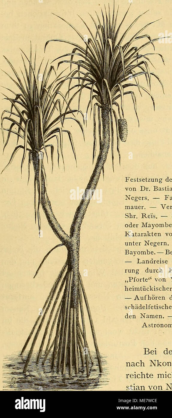 . Die Loango-Expedition ausgesandt von der Deutschen Gesellschaft zur Erforschung Aequatorial-Africas, 1873-1876 : ein Reisewerk in drei Abtheilungen . CAPITEL IV. Festsetzung der Reise nach dem Kuilu. â Abschied von Dr. Bastian. â â Pontanegra. â Gastmal eines Negers. â Factoreien von Loango. â- Eine Stein- mauer. â VerÃ¤nderte Jahreszeit. â Am Kuilu. â Shr. Reis. â Stromfahrt. â Das Waldland Yorrbe oder Mayombe. â Der Kuilu als Bergstrom. â Die Katarakten von Bumina. â Kakamueka. â Leben unter Negern. â Der Hochwald von Yombe. â Die Bayombe. â Besuch beim HÃ¤uptling Nganga Mvumbi. â Landreis Stock Photo