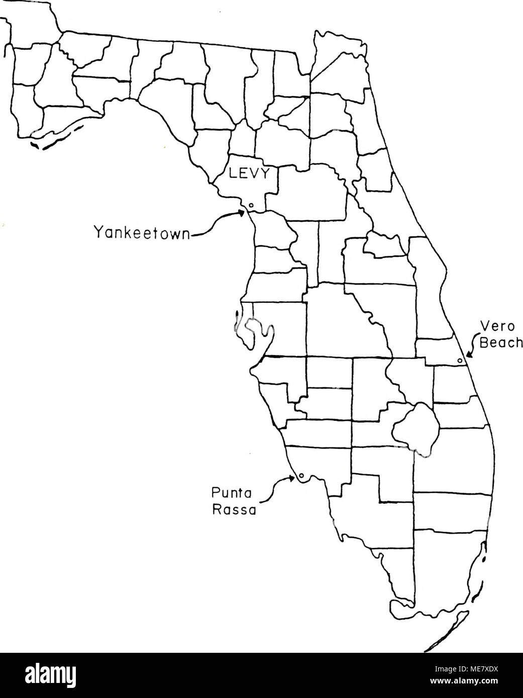 Diel and seasonal activities of Culicoides spp. Near Yankeetown ...