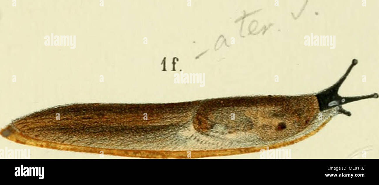 Bookyear187 High Resolution Stock Photography And Images Alamy