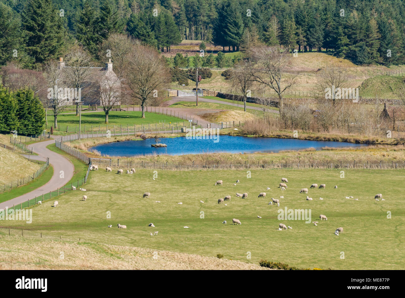 Farm House Scottish Borders Stock Photos & Farm House Scottish Borders Stock Images - Alamy Farm House Scottish Borders Stock Photos & Farm House Scottish Borders Stock Images - Alamy