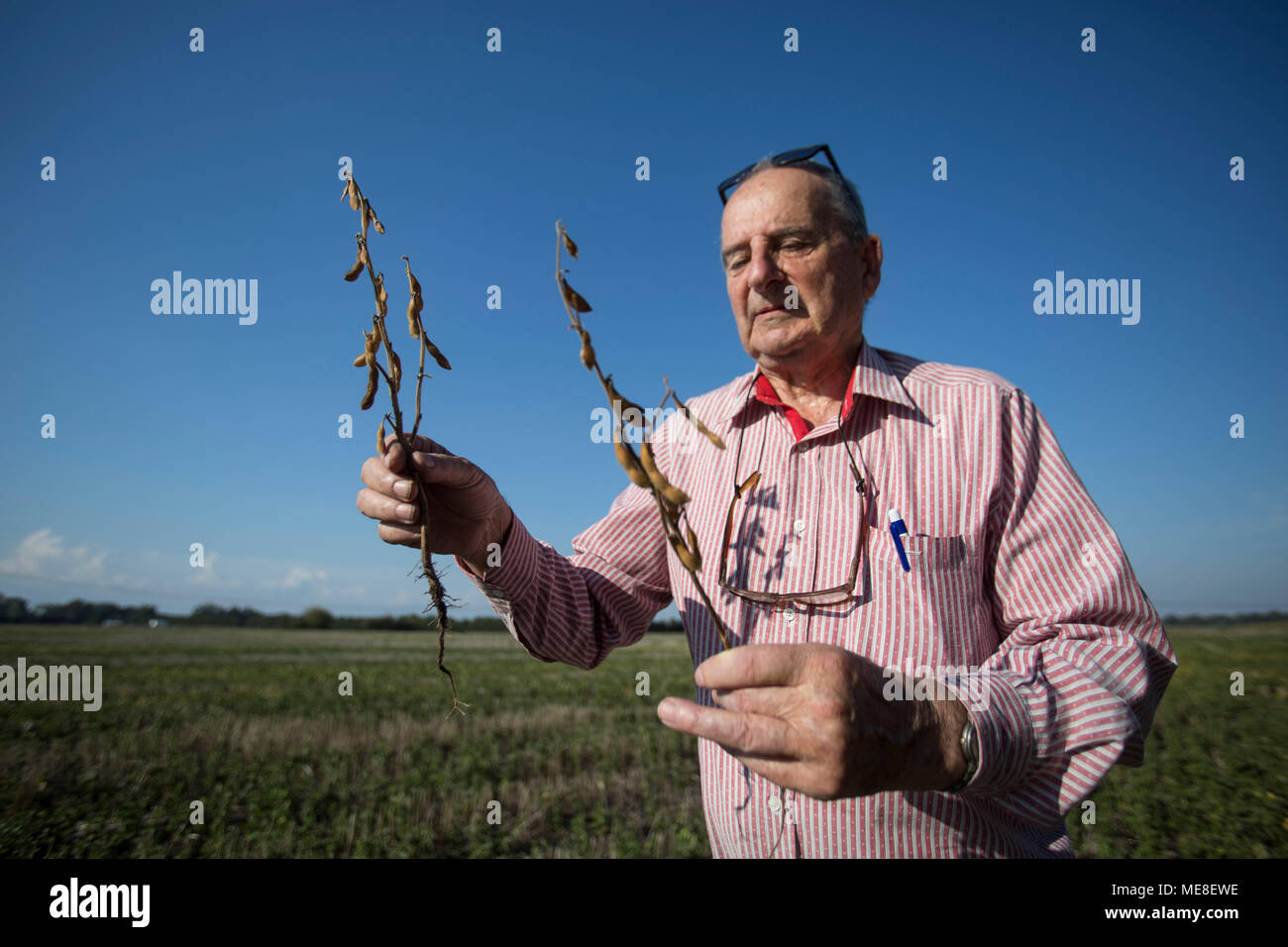 Zarate hi-res stock photography and images - Page 2 - Alamy