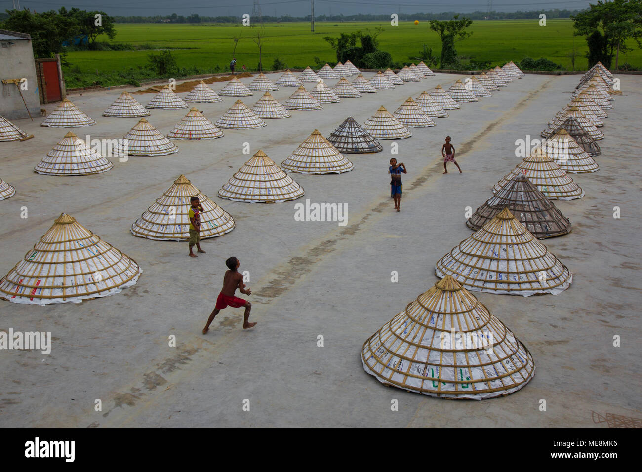 Workers in a rice mill shelter their product with pyramid-shaped covers ...