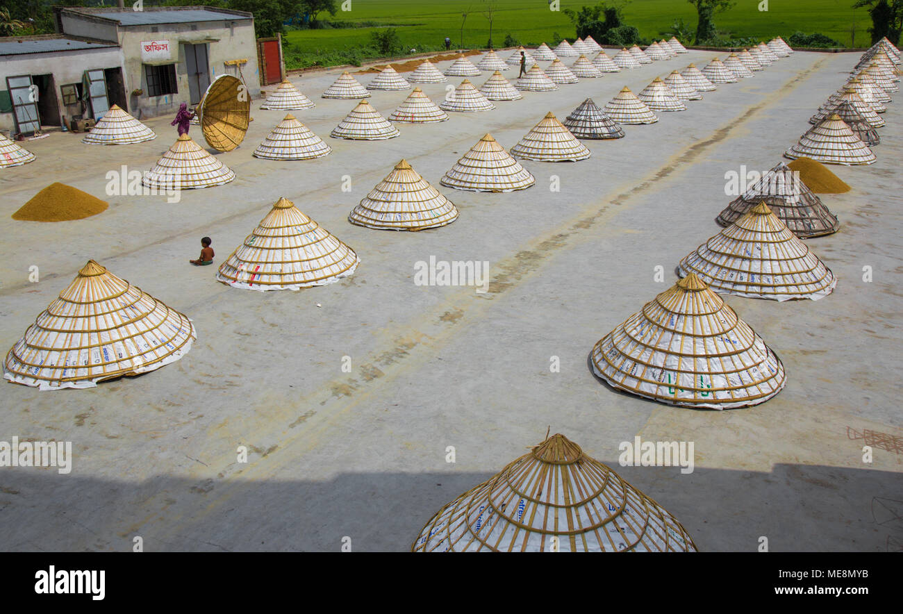 Workers in a rice mill shelter their product with pyramid-shaped covers ...