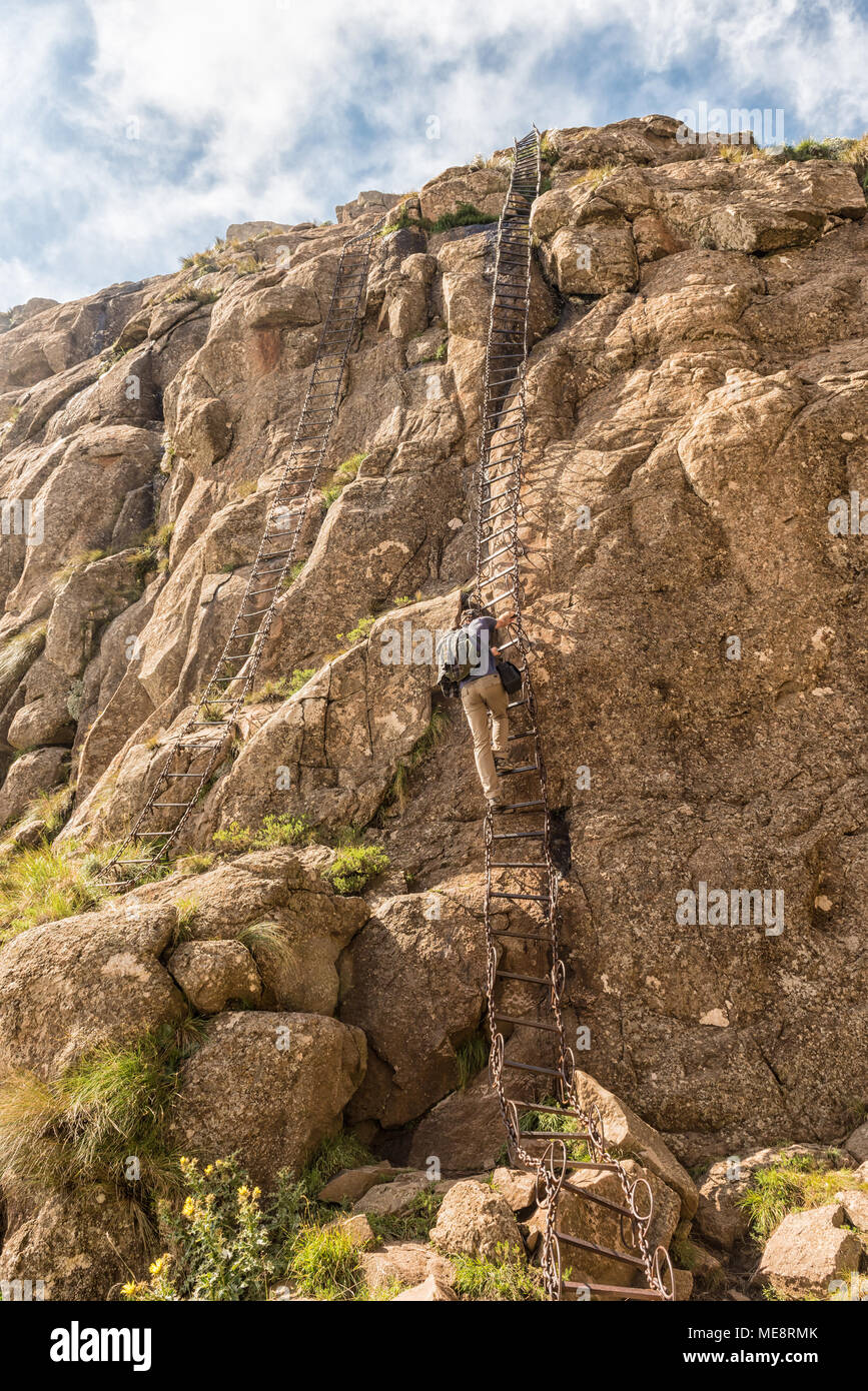 WITSIESHOEK, SOUTH AFRICA - MARCH 13, 2018: An unidentified hiker on the bottom chain ladders to the top of the Amphitheatre on the Sentinel Trail to  Stock Photo