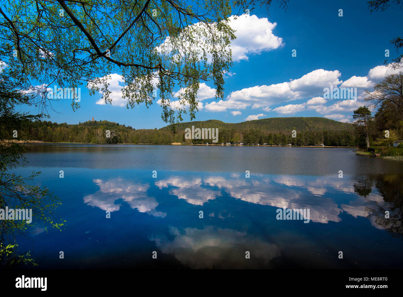 Lake (Etang de Hanau) in the Vosges mountains in France Stock Photo - Alamy