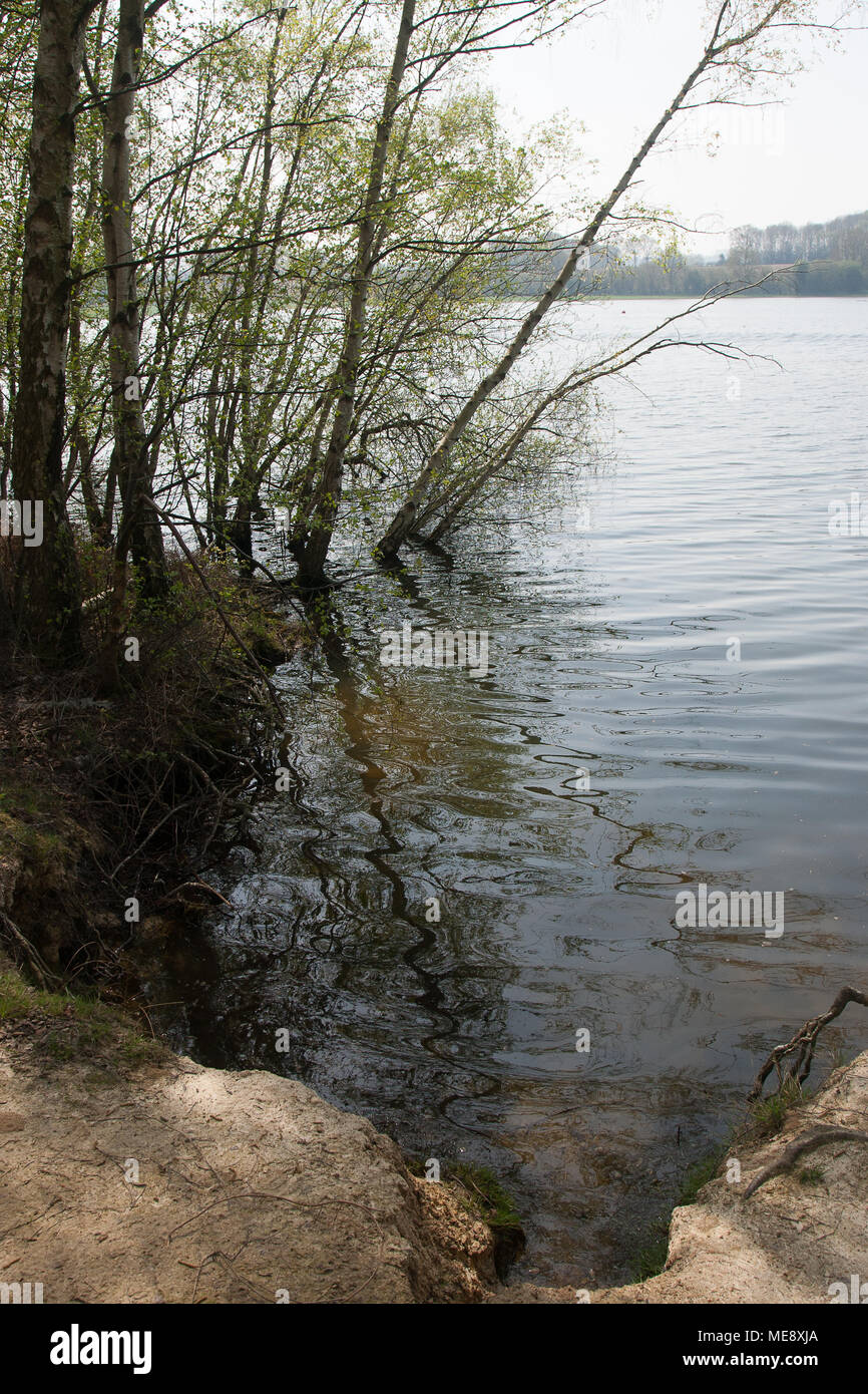 Bewl Water reservoir Kent England UK Stock Photo Alamy