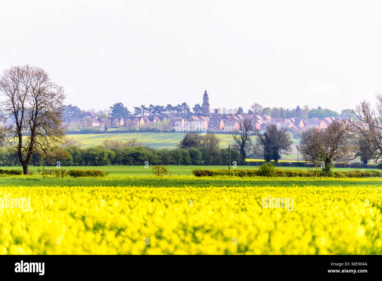 Day view of Northampton Town cityscape New Duston England, UK with canola field on foreground. Stock Photo